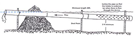 Beaver Dam Drain Pipe - Best Drain Photos Primagem.Org