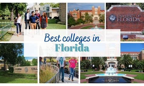 Top 20 Best Colleges in Florida