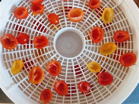 Drying Tomatoes - Preserve & Pickle