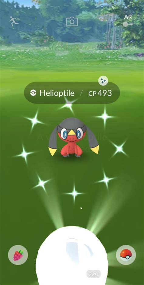 (Wild) Shiny Helioptile Verication : r/TheSilphRoad