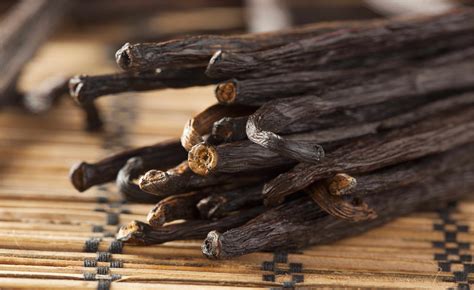 Madagascar Vanilla Beans - Whole Grade B Pods for Extract Making – Vanilla Bean Kings