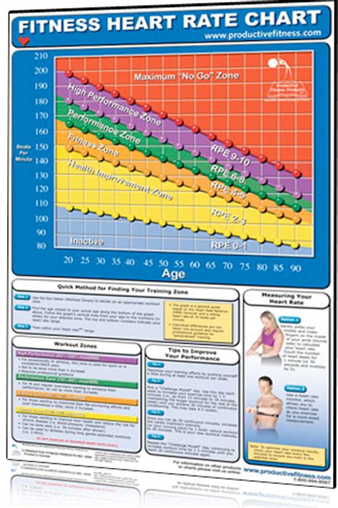 Printable Heart Rate Chart - Printable Word Searches