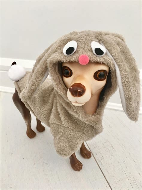 Rabbit Costume Dog Bunny Costume Dog Halloween Costume Pet | Etsy