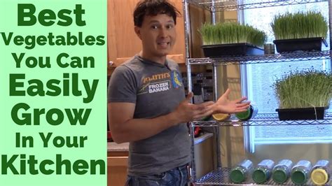 Best Vegetables You Can Easily Grow in Your Kitchen – Happily Natural