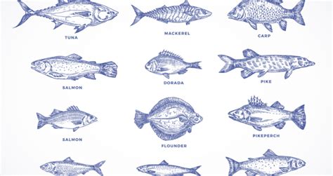 The 30 Best Tasting Fish: Complete Chart