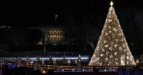 The Ultimate Guide To The Best D.C. Tree Lighting Ceremonies