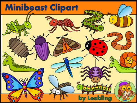 Minibeast clipart - Insect and Bug Clipart | Teaching Resources