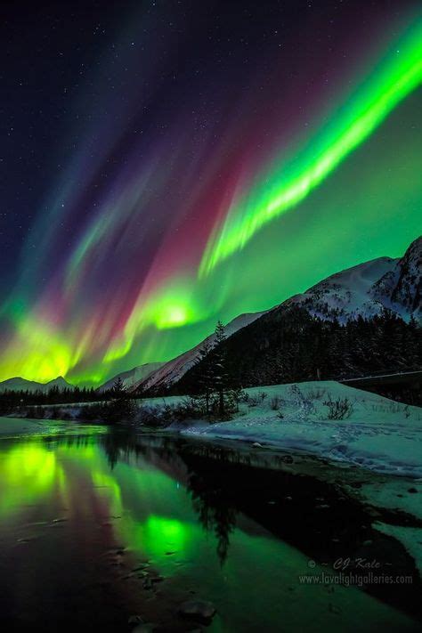 Aurora Borealis, Alaska (With images) | Northern lights, Nature ...