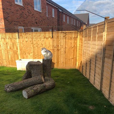 Standard Fence-Top Barrier | Outdoor pet enclosure, Cat enclosure, Cat fence