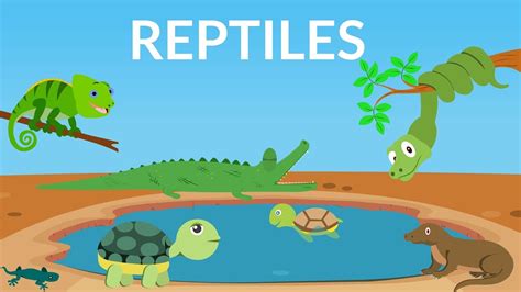 Crocodile and Tortoise clipart psd — Milye-Kartinki.ru