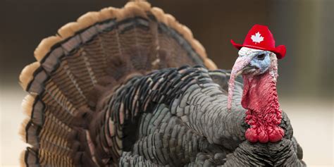 Thanksgiving Canada: 4 Surprising Facts About The October Holiday