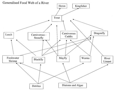 Freshwater Energetics – Field Studies Council