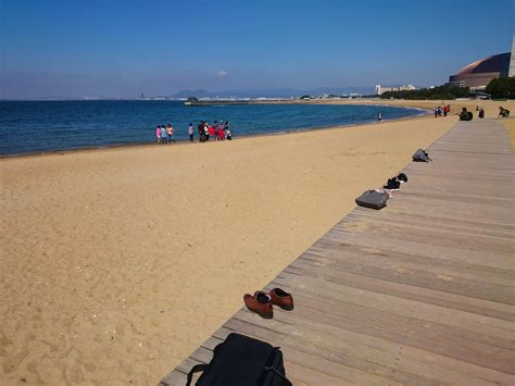 An Afternoon at Momochi Seaside, Fukuoka – A Journey Away