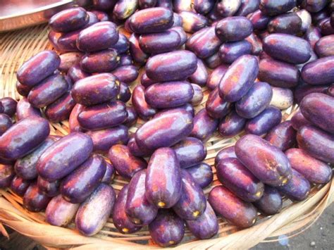 Agric. Products in Lagos Markets.: Article 45: The African Pear ("ube")