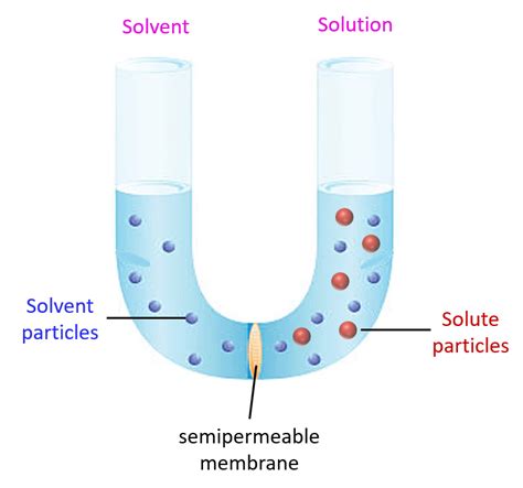 Osmotic Pressure - Chemistry Steps