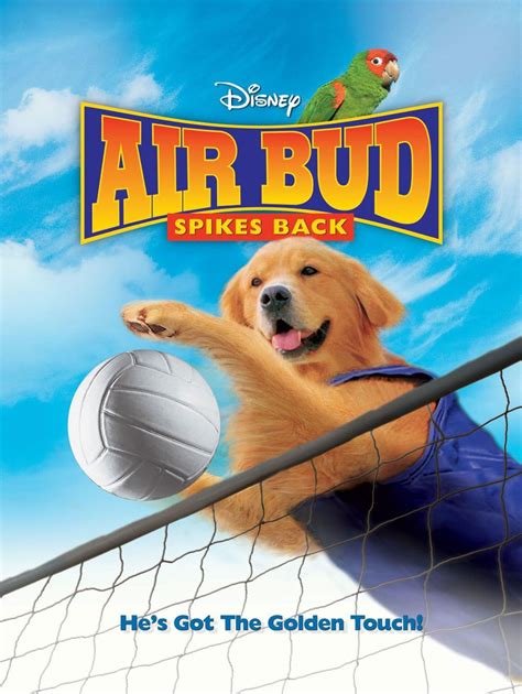 Air Bud: Spikes Back | Movies | Disney Buddies | Walt disney movies ...