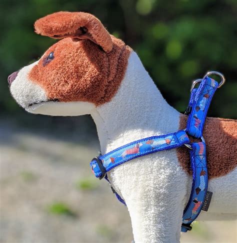 Dachshund Step In Dog Harness in Blue - Bows and Whistles