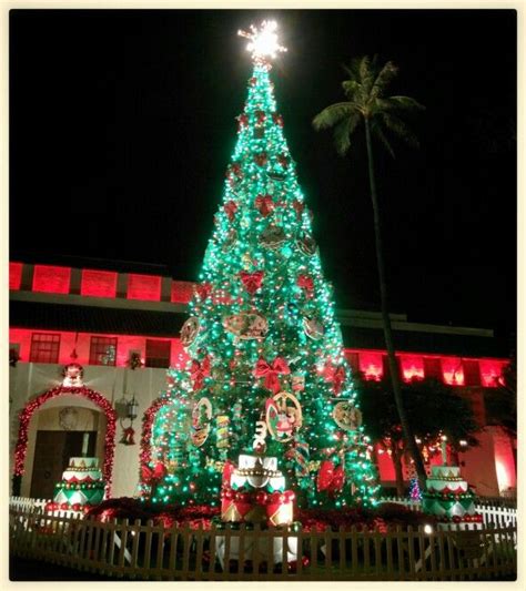 Honolulu Hale, Christmas Lights, Hawaii | Christmas celebrations, Christmas lights, Honolulu ...