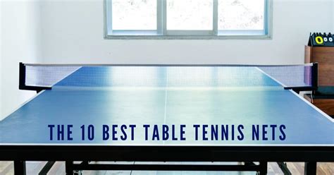 Table Tennis Arena- A Guide And Review-Based Website - TABLE TENNIS ARENA