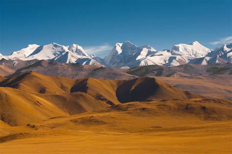 FLORA E FAUNA: LE BELLEZZE NATURALI DEL TIBET - Mirabile Tibet