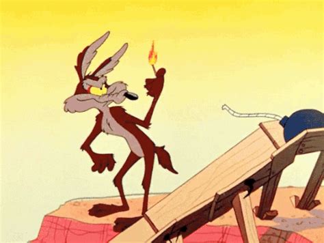 Wile Coyote GIFs - Get the best GIF on GIPHY