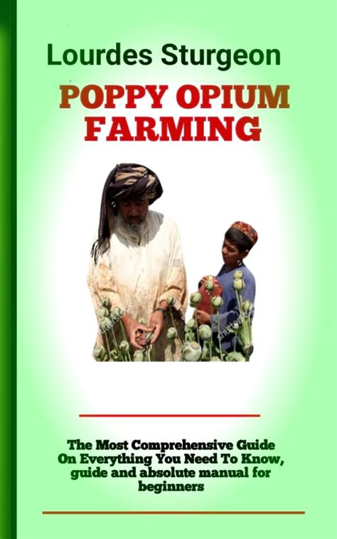 Poppy Opium Farming : A Step-By-Step Guide To The Cultivation ...