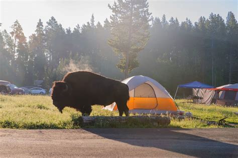 Camping Near Yellowstone: North Entrance, Gardiner, Montana - TRAVELING ...