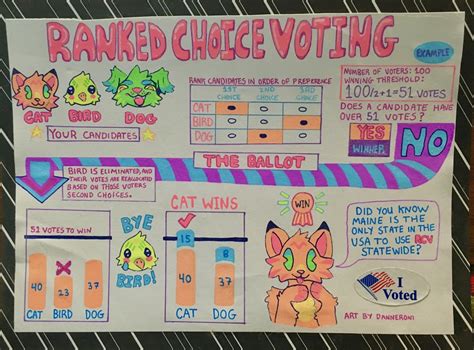 Ranked Choice Voting Infographic — Weasyl