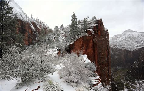 Visiting Zion National Park in Winter – Insider's Utah