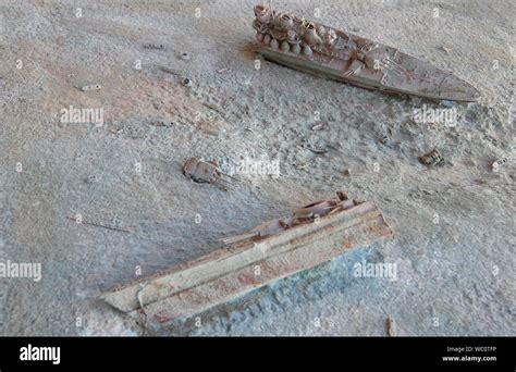 Porto Torres, Sardinia, Italy. Museo del mare (Sea Museum). Plastic reconstruction of the wreck ...