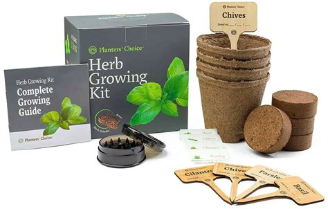 Best Starter Herb Garden Kits [Indoor Kits] | Family Food Garden