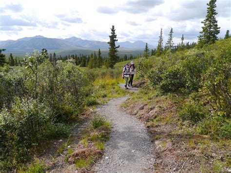 The 24 Best Hikes in Denali National Park | Alex on the Map