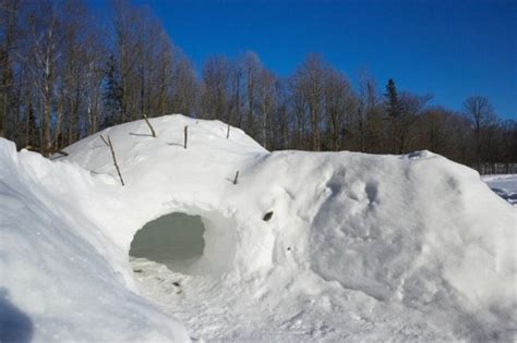 4 Best Winter Survival Shelters [by type] + How to Make Your Own ...