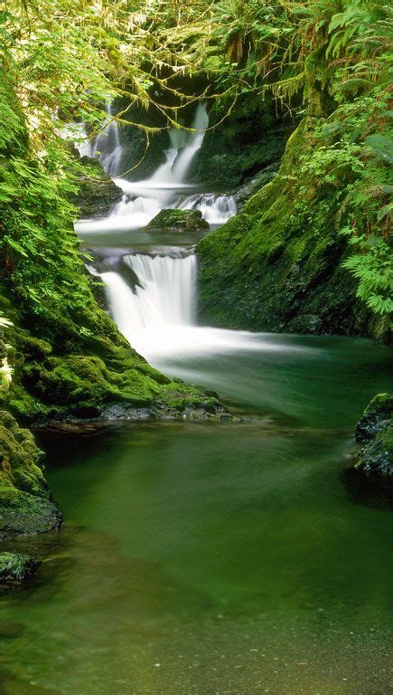 22 best Olympic Peninsula Waterfall Trails!!! images on Pinterest | Olympic peninsula, Nature ...