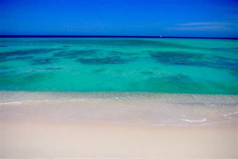 Peeking Out From Under a Palapa at Arashi Beach, Aruba