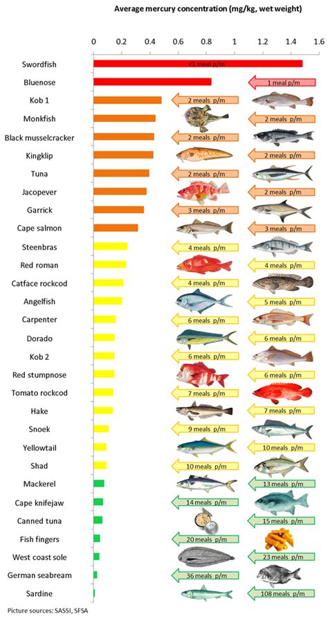 SEE: Potentially dangerous mercury levels in SA retail fish | Life