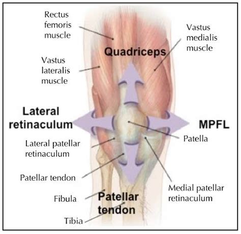 Patellofemoral Pain | Knee | Doctor Articles | Asia Medical Specialists