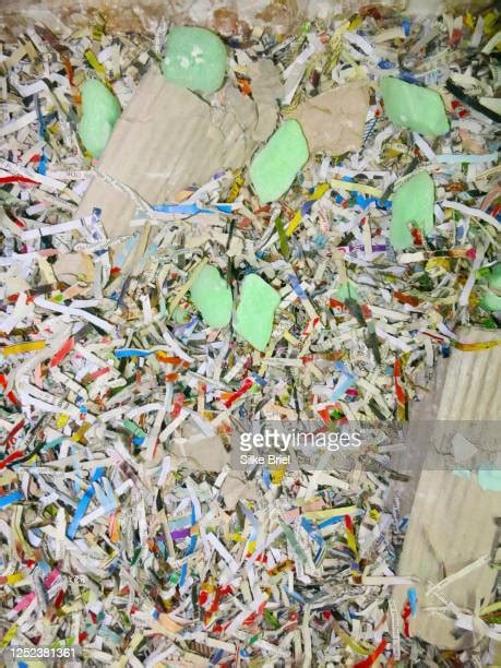 47 Shredded Paper Confetti Stock Photos, High-Res Pictures, and Images ...