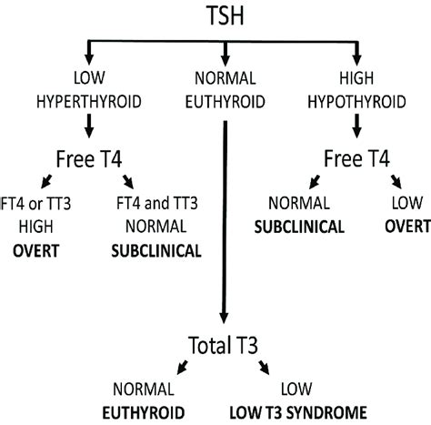 Commonly defined categories of thyroid status. FT4, free T4; TSH,... | Download Scientific Diagram