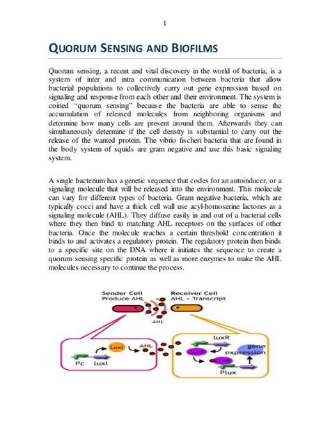 quorum sensing and biofilms