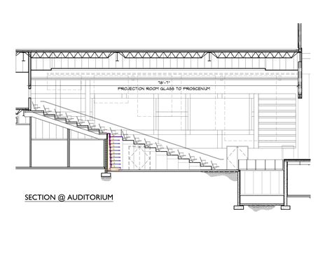 Section view of seating in the new Eppes Auditorium. | Baskı