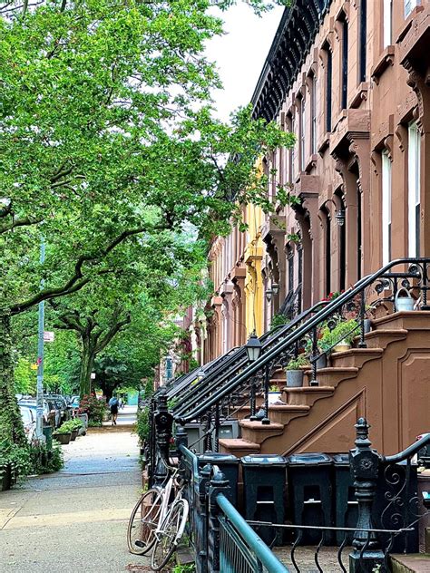 Colorful Brownstones | Brownstone, Landscape, Nature