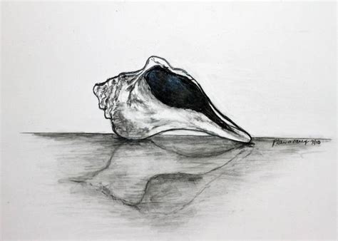 Stunning "Seashore" Pencil Drawings And Illustrations For Sale On Fine Art Prints