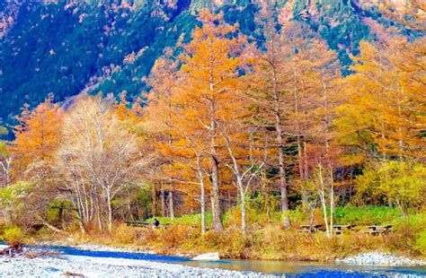 Experience Kamikochi in Autumn on a Guided Tour - SNOW MONKEY RESORTS