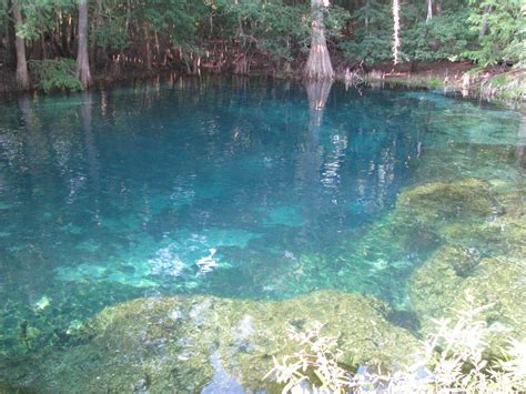 Paul & Joyce, Exploring our Country: Manatee Springs State Park