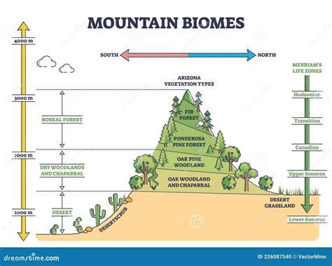 Ecosystem Map Diagram