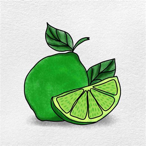 How to Draw a Lime - HelloArtsy