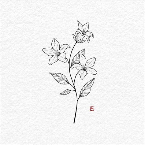 AllyBeth Design Co | Jasmine flower tattoos, Jasmine tattoo, Flower ...