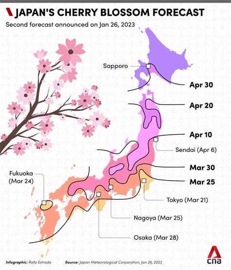 Cherry Blossom Season Japan 2024 Dates - Leta Shayna