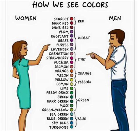 How Women and Men See Colors - English Learn Site